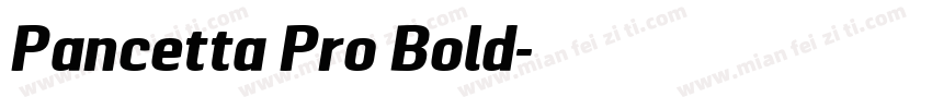 Pancetta Pro Bold字体转换